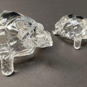 2 glazen schildpadden,2025_11_#15